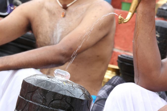 20161203 Photo 1921 1TDQukT8GRuMdaX757h287jKx5RO1hwxk.JPG