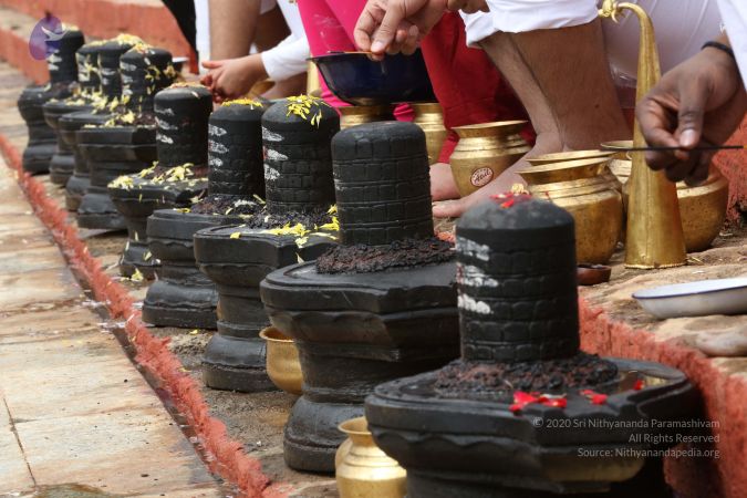 20161203 Photo 1942 1C TocxuFPG1f8ZclDS7DsT7AdS4BGmPn.JPG