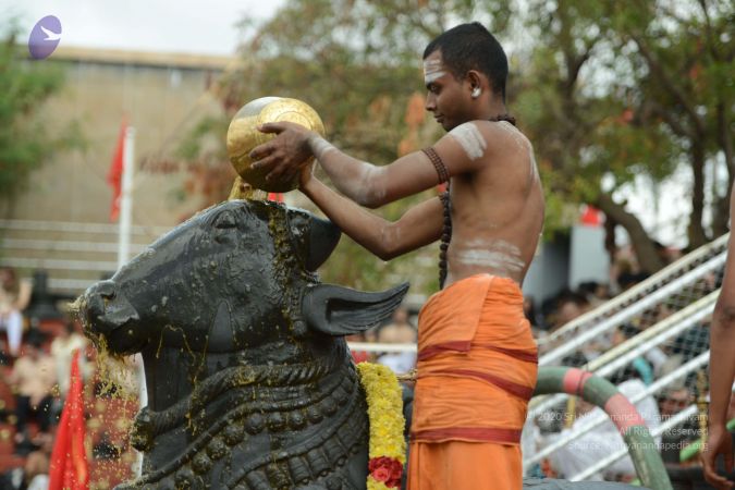 20161203 Photo 2100 1mAt9obia4P99pvCD-xg7NErHHoiZLYwi.JPG