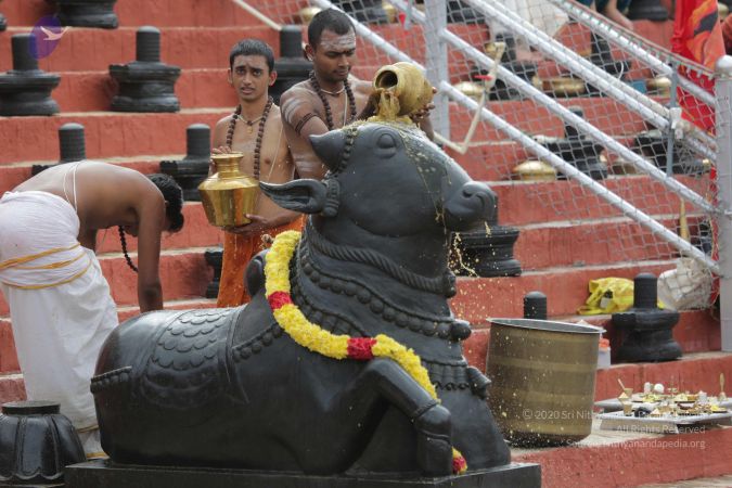 20161203 Photo 2234 18G-h9lthB0V55TL6QZ1t8gm0mV8gX4Vo.JPG