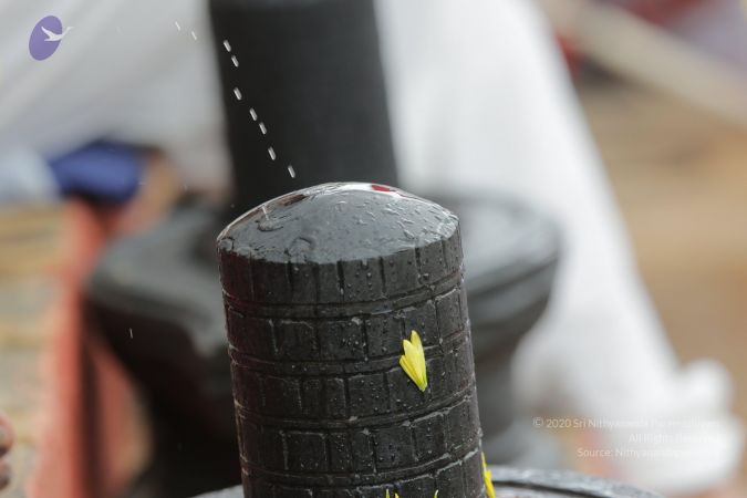 20161203 Photo 2253 1LDAkWAqRIa2obSGHzFhXd7hD0qzMDEXc.JPG