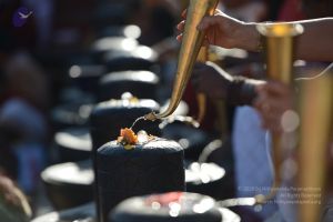 20161205 Photo 1024 1F FhgY tJGqBVUqm2-KijFZLJ2ESDIGc.JPG