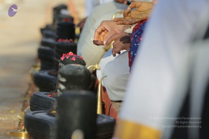 20161205 Photo 1053 1yJ6YhghBPzUY2XONcQO9jFBn6vcS0gWj.JPG