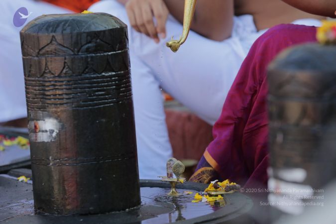 20161205 Photo 1083 1ruCdytu4FXFS1JnNurQMoNSHQJE5B5Jn.JPG