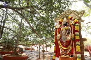 20161205 Photo 1441 16-u7Ss2j3SLkHKabjWvvIetXo- uYdjN.JPG