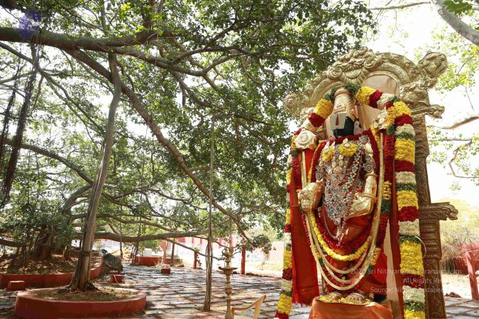 20161205 Photo 1441 16-u7Ss2j3SLkHKabjWvvIetXo- uYdjN.JPG