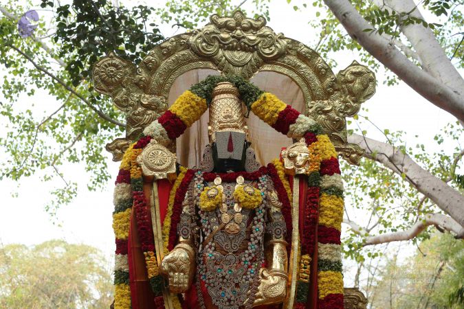 20161205 Photo 1451 1xJqB3eCRBYmhY1bFboa1UuZmvzmFB3Yi.JPG