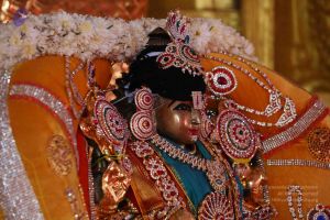 20161205 Photo 1514 1v9oqd5N46t-5UW3zCGUMu7pJEHujMFOR.JPG