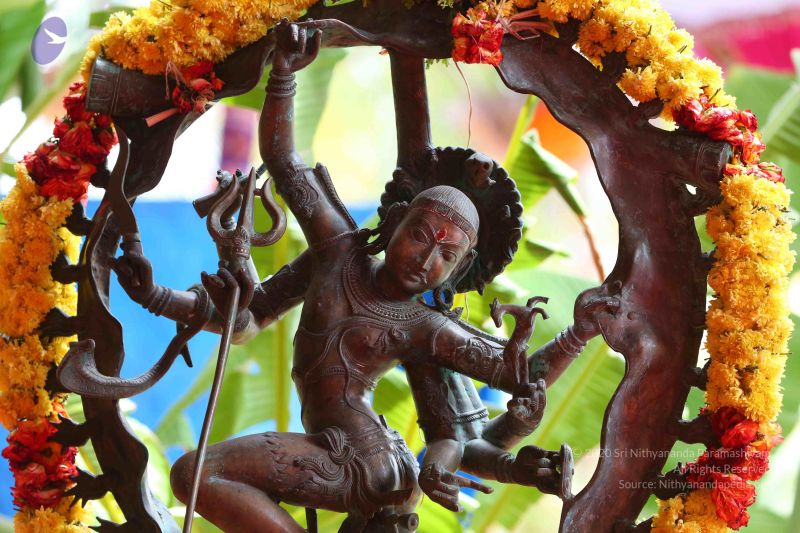 File:20161205 Photo 1549 1ywA3a7EbiH7VVRPN4BEuo 3o2ooKf3dx.JPG