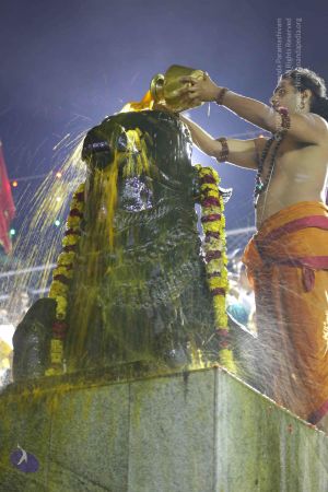 20161206 Photo 1114 16fbN-r5PlxGKWwi--0DF-09LjJkI56rW.JPG