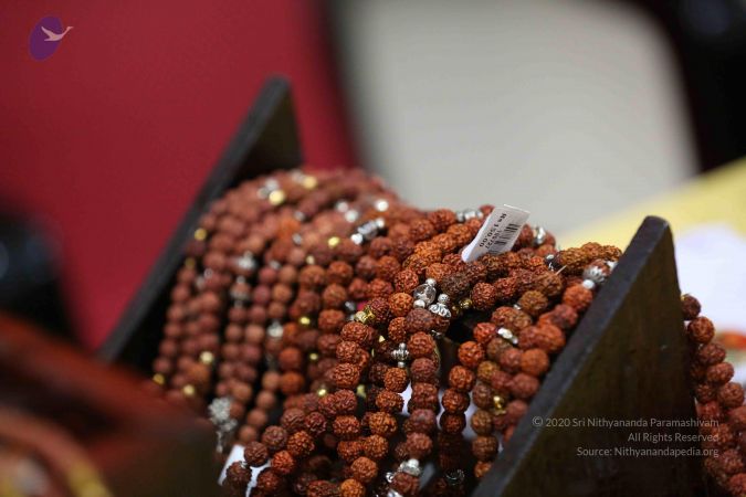 20161206 Photo 2393 13bgBhT6Vv00uuKn-AybatnDu8KXHFTrO.JPG