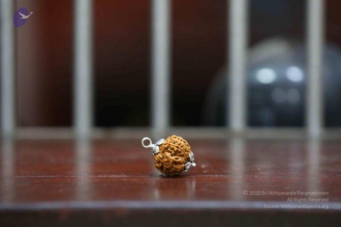 20161206 Photo 2430 1XRYEHP0PrN1ef8iJ1BweYrRZ9bkB6e4E.JPG