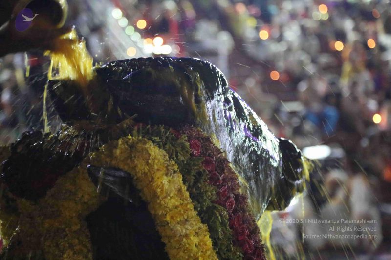 File:20161208 1054 CMP WM.jpg