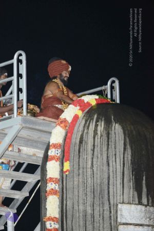 20161208 4284 CMP WM.jpg