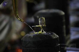 20161209 Photo 2314 1PGH vhKwvklVb1IXL3vwxN6TvPonjPTC.JPG