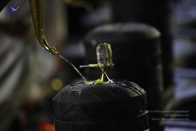 20161209 Photo 2314 1PGH vhKwvklVb1IXL3vwxN6TvPonjPTC.JPG