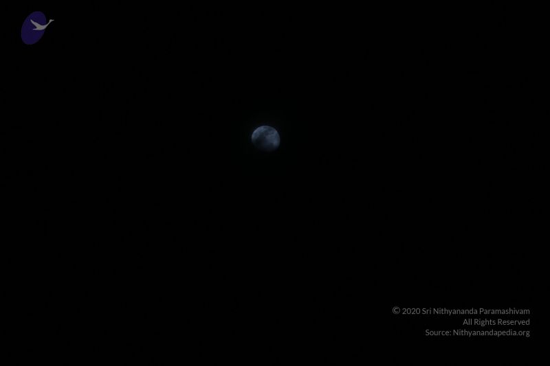 File:20161211 Photo 1000 12z7QG0QTZIRoyWHO7wnGHEOJZLS7awEc.JPG