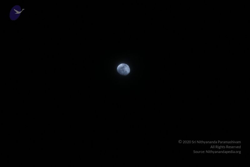 File:20161211 Photo 1001 1DT4QTO3wzHCWwPhJnDh6RRnKXYLZgDf9.JPG