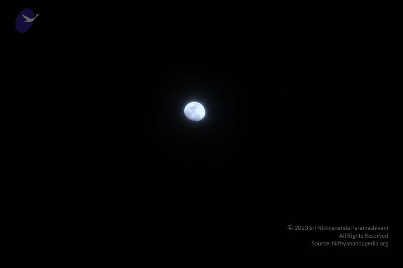 File:20161211 Photo 1002 1dEnj5U45ysCBoUDNP6ZxRIbvJO2DUWp9.JPG