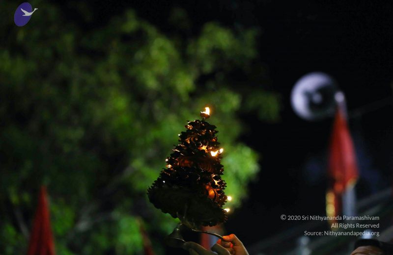 File:20161211 Photo 1005 16WEBaTNA4 qxn03ixb15iU DPIHyoC3v.JPG
