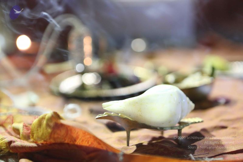 File:20161211 Photo 1116 1qs8rQWepM8oFfvSSVicR3AYPitBVHq9 .JPG