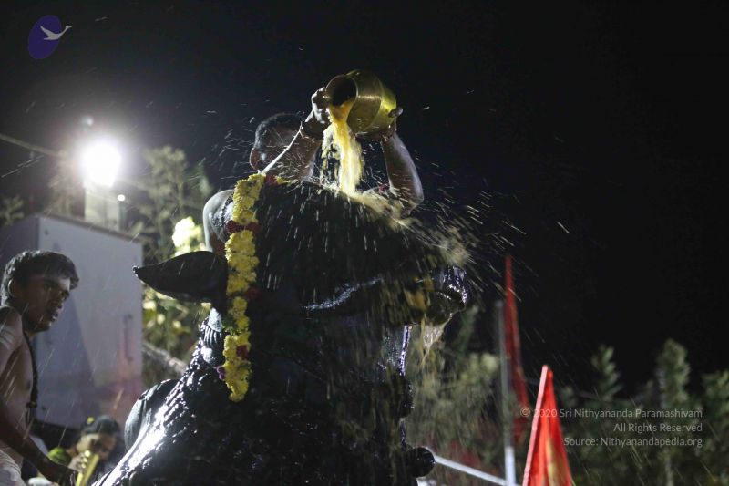 File:20161211 Photo 1218 1h8SJMziYkRLHRw6RVpvGXqCaNb0GOljn.JPG