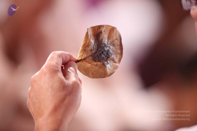 20161212 Photo 1022 1lWb03fgPCU9o4ekQPe6Q7lpGaxdBFEwD.JPG