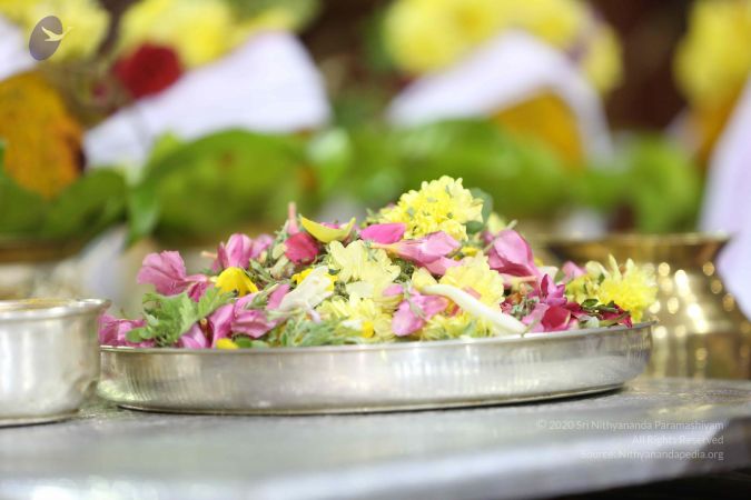 20161212 Photo 1054 1iu4jZKiN4XsjFfOHRv-B5z0 y2OFnIx3.JPG