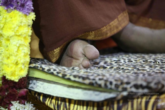 20161212 Photo 1069 1dXmD5FjcRJSSAWaJAnyg70PxOHgco2 g.JPG