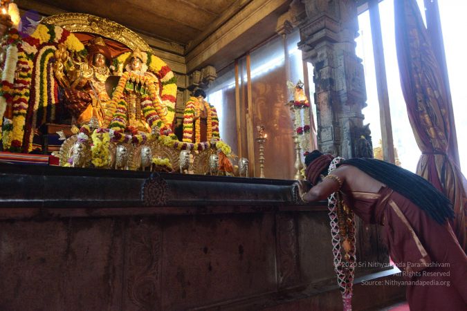 20161212 Photo 1144 1FYeFjUr4h3itioNNOeo8qgxjWgasEKsV.JPG