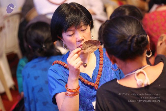 20161212 Photo 1225 1xV8DQI6yaQQaVYknwXLTc OBLNYvTu5d.JPG