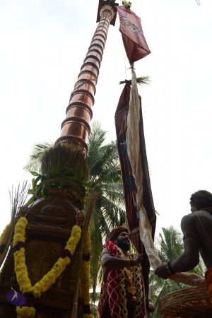 20161212 Photo 1343 1MFDWZPhGtAzheStrLVA1cjoVWPTSESys.JPG