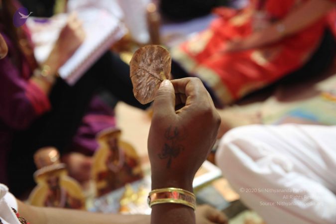 20161212 Photo 1395 1frIS768SrX--hWw-KVwGFWOQd4CxbR7Z.JPG