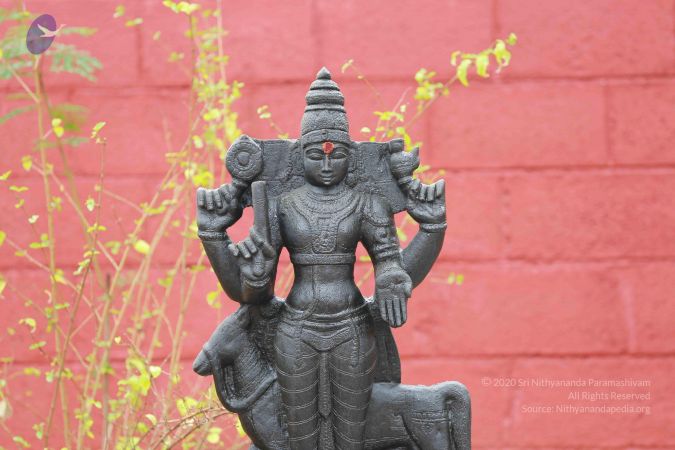 20161212 Photo 1523 1F7ayWM6kTZbtfY1irHXdM40XyuGHiZtz.JPG