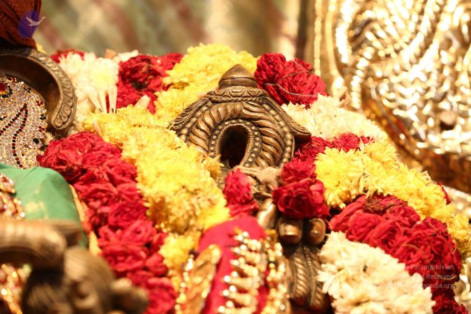 20161212 Photo 1551 1JagbwfXcyorXtV3Hv94jJxrZzv XV9GV.JPG