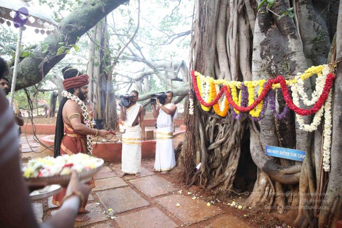 20161212 Photo 1575 1ao p4gGbbWtYNS5ObTRipl6aL4uqx2Ai.JPG