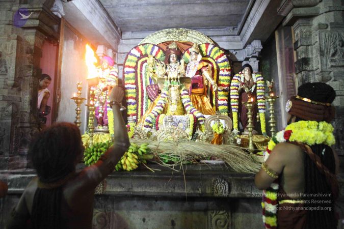 20161212 Photo 1594 18 Y4MG3e9i9C1z8TES1gSEaZaWI89Np6.JPG