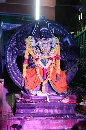 20161212 Photo 1601 1Y8bn3O3qmaCuif0bCJ2XkaVz 8ynHXBD.JPG