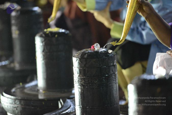 20161212 Photo 1629 1JpEJ5a9QaOnjnpFixgOMIDxbZmlp69gW.JPG