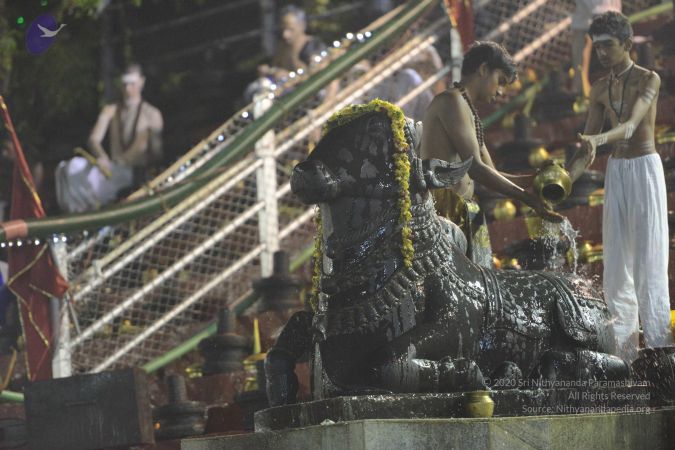 20161212 Photo 1635 11WOJBwj-E3fJjib66GGD6NMH81g5y9yW.JPG