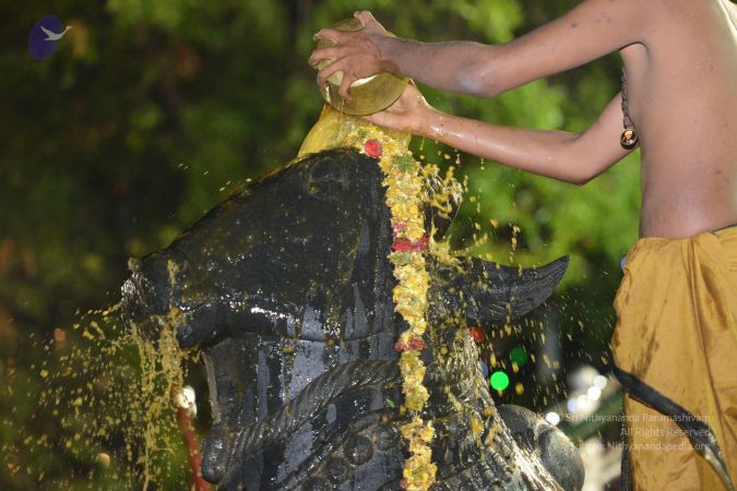 20161212 Photo 1640 1KaoNHK0DaurzNYzElRbvSqjyVE1OmNam.JPG