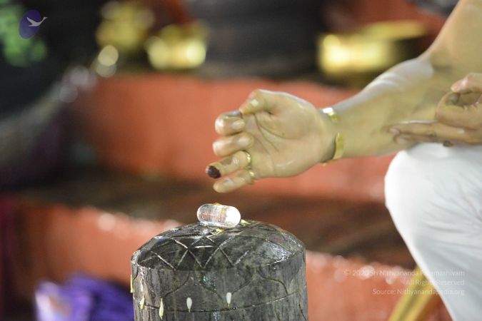 20161212 Photo 1646 1oaMjY7aGjl0sFpLa0yK1HWERW zVRU1L.JPG