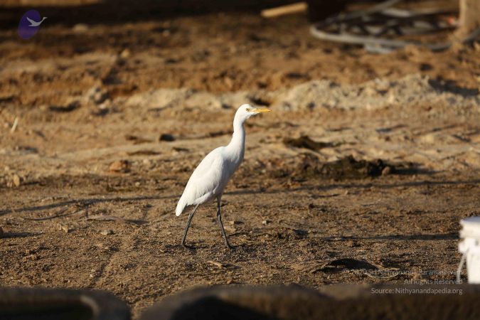 20161212 Photo 1884 1eGeKQSDiL gfLl0D6 5bJsnCC7o uALK.JPG