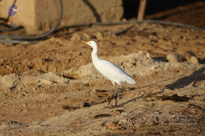 20161212 Photo 1887 1iuYCeieziklm4rDnd-Q1IxMbQWawDZy3.JPG