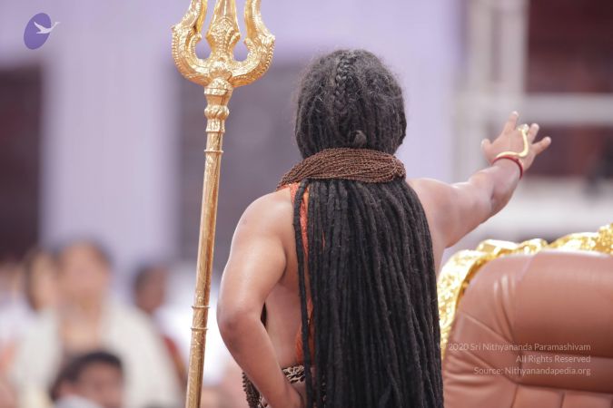 20161212 Photo 1906 14l6tugPU2EoymZCh1VJSsZhCzyQWWqqq.JPG