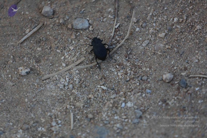 File:20161212 Photo 1925 1lSzbMSDq8b0KB30iUSgzX8oiqjMea0yL.JPG