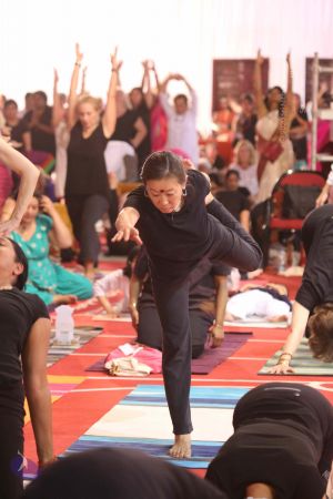 20161212 Photo 2143 1RfkVEl5BE9ul9g9CJvUQWtldzi1W2FOM.JPG