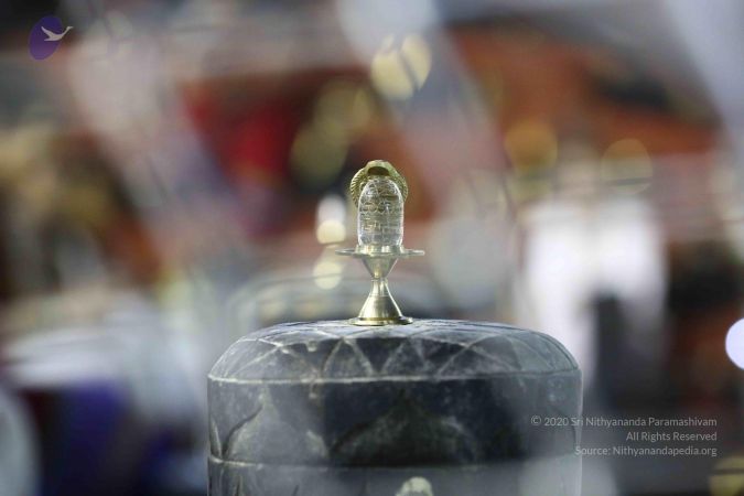 20161212 Photo 2281 1q3ptbCuT0ohf3feyxlshg7va0DP7S9D9.JPG