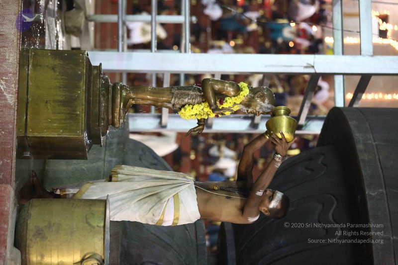 File:20161212 Photo 2355 1C2r4gJakvvlOzOHO x4Ufi-N4wYDffEK.JPG