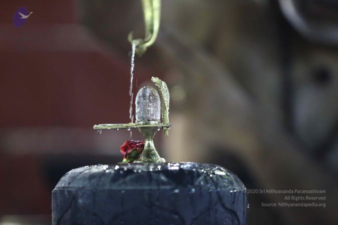 20161212 Photo 2359 17gQjReqOkpfUPrJXjatbJtfX7zfF6IVm.JPG